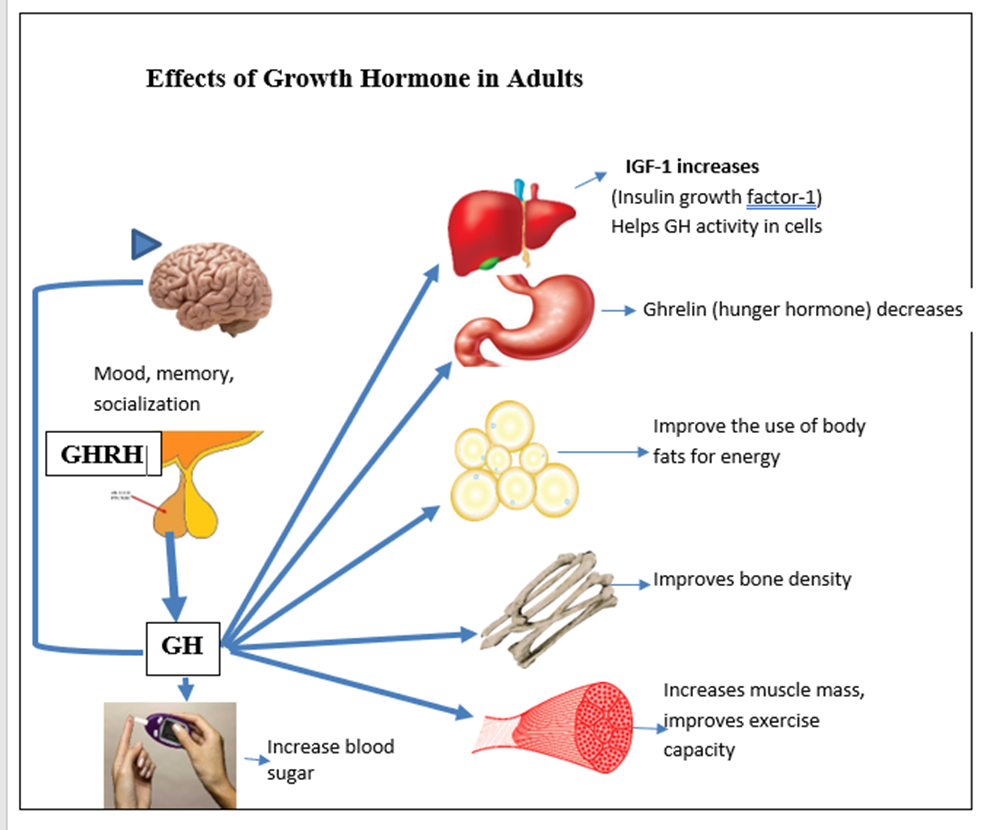 Adult Growth Hormone Deficiency WAPO